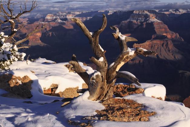 Wintereinbruch am Grand Canyon; Arizona