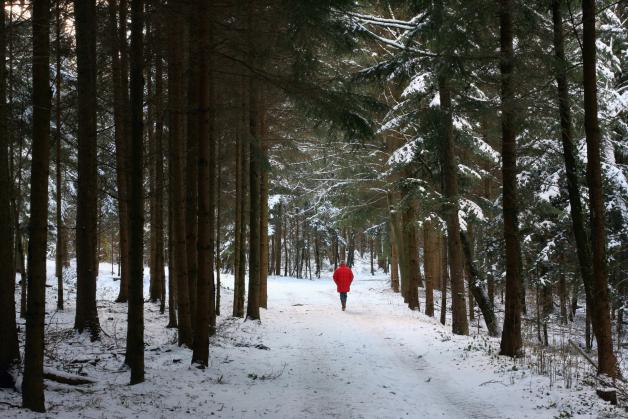 "Roter Punkt im Winterwald" aufgenommen in der Nähe von Bellmund