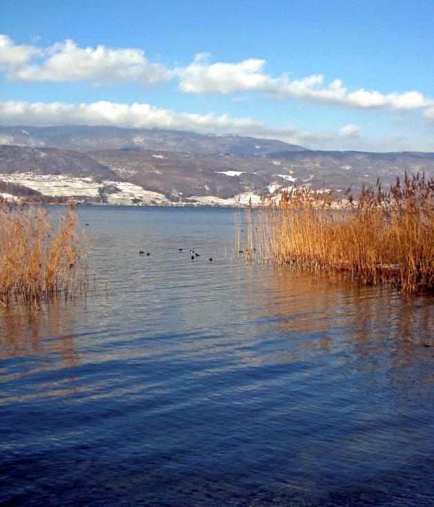 Winterliches Bild vom Bielersee