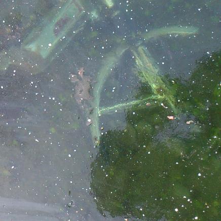 In der Fenchneren.
Im Wasser entsorgte Reste eines Motorrads durchs Eis entdeckt.
