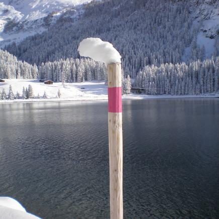 Winter

in Davos 2009

