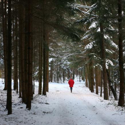 "Roter Punkt im Winterwald" aufgenommen in der Nähe von Bellmund