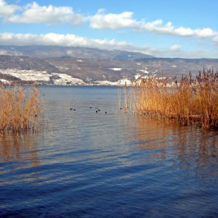 Winterliches Bild vom Bielersee
